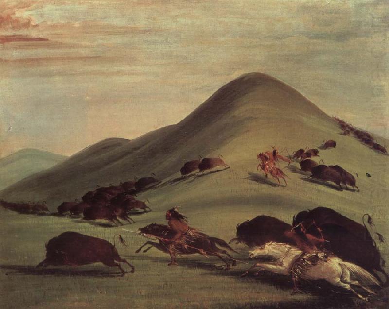 George Catlin Buffalo Chase Over Prairie bark china oil painting image